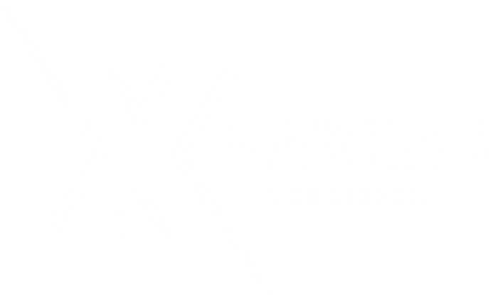 Maxcar Mobilidade